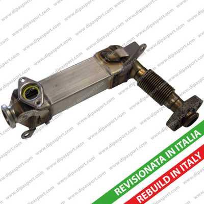 Dipasport EGR211R - Radiatore, Ricircolo gas scarico www.autoricambit.com