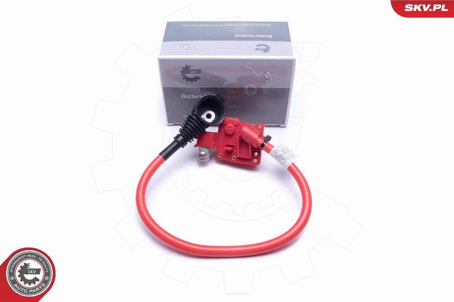 Esen SKV 96SKV311 - Adattatore batteria www.autoricambit.com