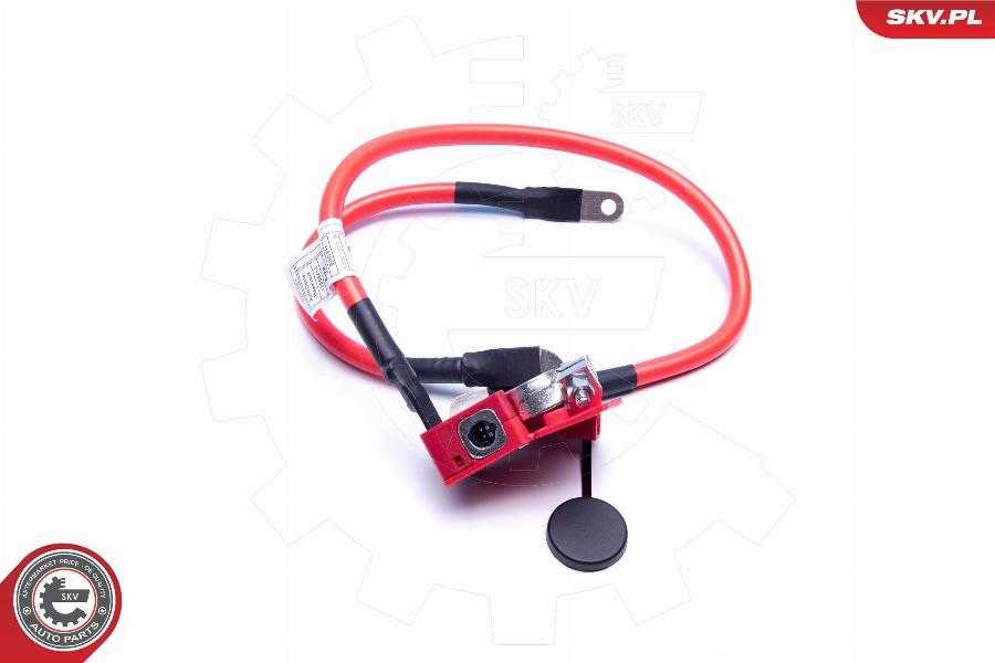 Esen SKV 96SKV312 - Adattatore batteria www.autoricambit.com