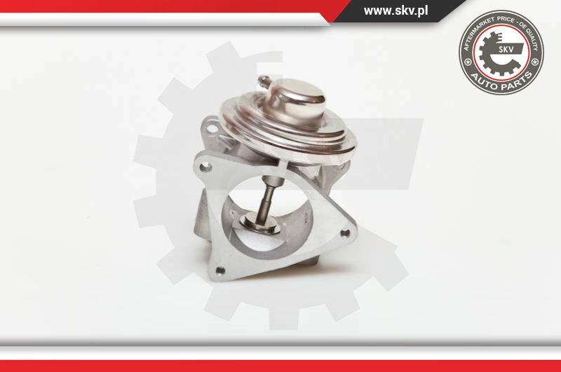 Esen SKV 14SKV019 - Valvola ricircolo gas scarico-EGR www.autoricambit.com