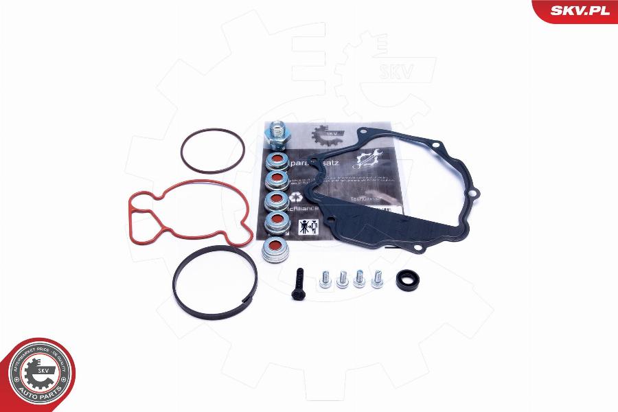 Esen SKV 18SKV809 - Kit riparazione, Pompa a depressione (Sistema frenante) www.autoricambit.com