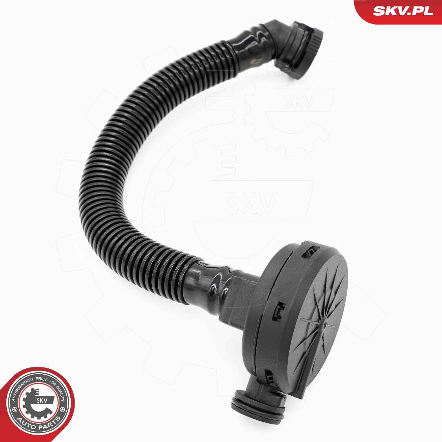 Esen SKV 31SKV407 - Valvola, Ventilazione carter www.autoricambit.com