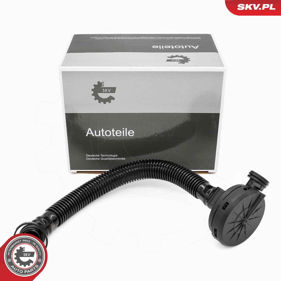 Esen SKV 31SKV407 - Valvola, Ventilazione carter www.autoricambit.com