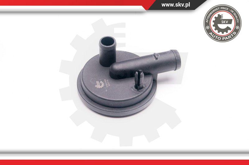 Esen SKV 31SKV009 - Valvola, Ventilazione carter www.autoricambit.com