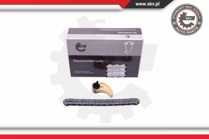 Esen SKV 21SKV102 - Kit catene, Azionamento pompa olio www.autoricambit.com