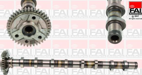 FAI AutoParts C381 - Albero a camme www.autoricambit.com