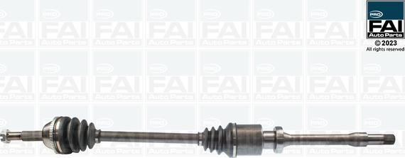 FAI AutoParts FPDS165 - Albero motore/Semiasse www.autoricambit.com