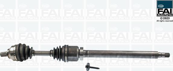 FAI AutoParts FPDS202 - Albero motore/Semiasse www.autoricambit.com