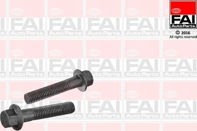 FAI AutoParts SS9254BK - Perno fissaggio, Braccio oscillante www.autoricambit.com