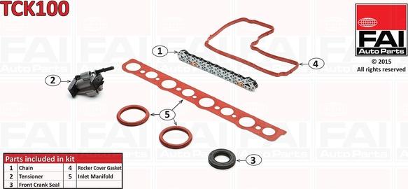 FAI AutoParts TCK100 - Kit catena distribuzione www.autoricambit.com