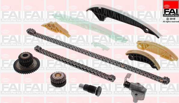 FAI AutoParts TCK306NG - Kit catena distribuzione www.autoricambit.com