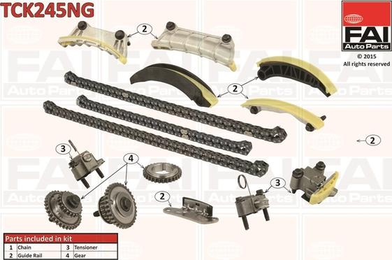 FAI AutoParts TCK245NG - Kit catena distribuzione www.autoricambit.com