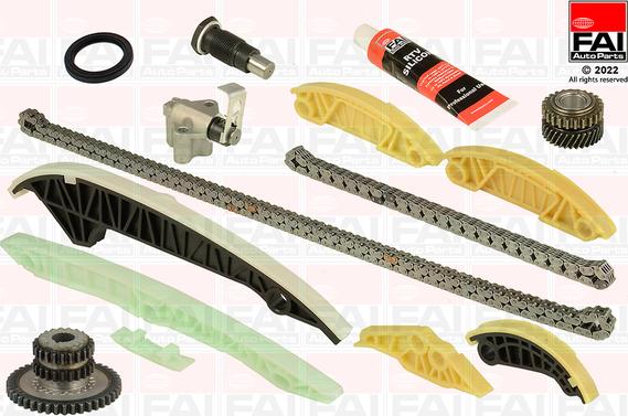 FAI AutoParts TCK223L - Kit catena distribuzione www.autoricambit.com