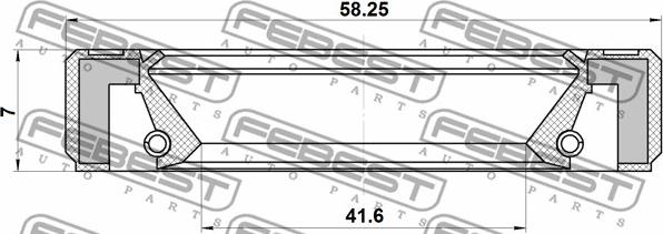 Febest 95GBY-43580707R - Paraolio, Albero primario www.autoricambit.com