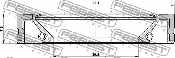 Febest 95GFZ-38550808R - Guarnizione, Pompa olio www.autoricambit.com