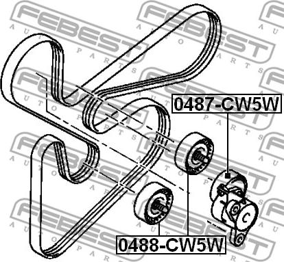 Febest 0488-CW5W - Galoppino/Guidacinghia, Cinghia Poly-V www.autoricambit.com