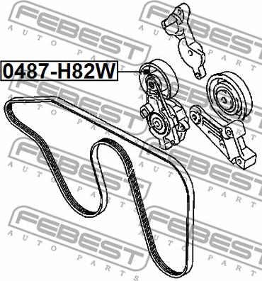 Febest 0487-H82W - Galoppino/Guidacinghia, Cinghia Poly-V www.autoricambit.com