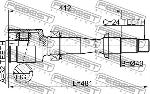 Febest 0111-ASV50RH - Kit giunti, Semiasse www.autoricambit.com