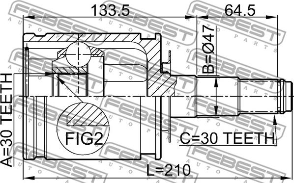 Febest 0111-FZJ100 - Kit giunti, Semiasse www.autoricambit.com