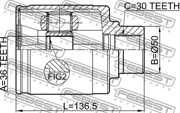 Febest 0211-Z50RH - Kit giunti, Semiasse www.autoricambit.com