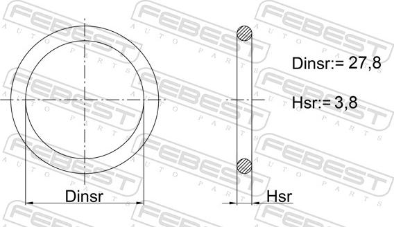 Febest 07400-001 - Anello di tenuta, vite di scarico carburante www.autoricambit.com