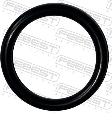 Febest 07400-001 - Anello di tenuta, vite di scarico carburante www.autoricambit.com