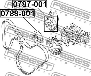 Febest 0787-001 - Galoppino/Guidacinghia, Cinghia Poly-V www.autoricambit.com