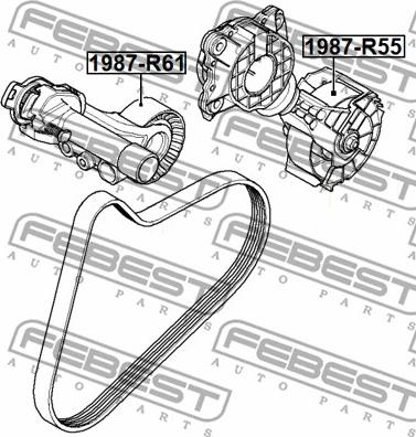 Febest 1987-R55 - Galoppino/Guidacinghia, Cinghia Poly-V www.autoricambit.com