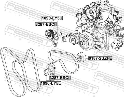 Febest 1090-LY5U - Tendicinghia, Cinghia Poly-V www.autoricambit.com