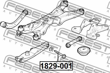 Febest 1829-001 - Bullone correzione campanatura www.autoricambit.com