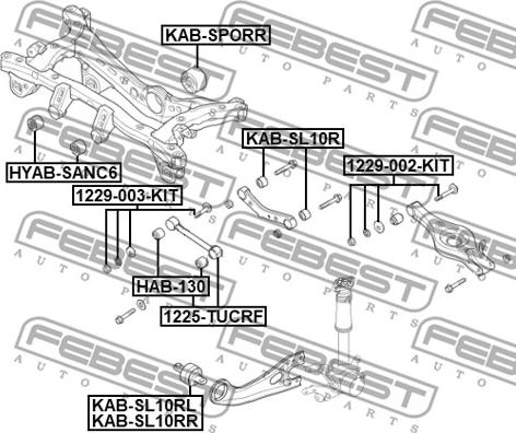 Febest 1225-TUCRF - Sospensione a ruote indipendenti www.autoricambit.com