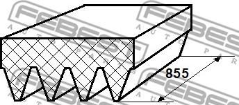 Febest 88126-4L855 - Cinghia Poly-V www.autoricambit.com