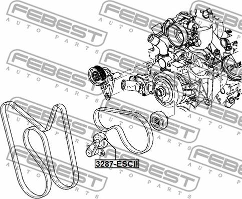 Febest 3287-ESCII - Galoppino/Guidacinghia, Cinghia Poly-V www.autoricambit.com