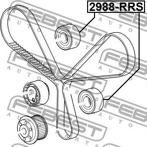 Febest 2988-RRS - Galoppino/Guidacinghia, Cinghia dentata www.autoricambit.com