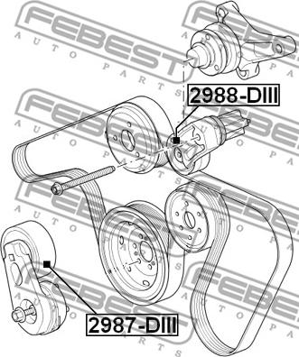 Febest 2988-DIII - Galoppino/Guidacinghia, Cinghia Poly-V www.autoricambit.com