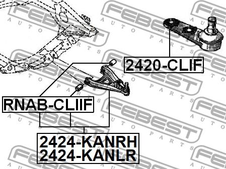 Febest 2424-KANRH - Sospensione a ruote indipendenti www.autoricambit.com