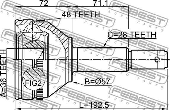 Febest 2110-FMA48 - Kit giunti, Semiasse www.autoricambit.com