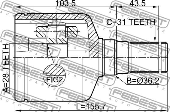 Febest 2111-AWF21LH - Kit giunti, Semiasse www.autoricambit.com