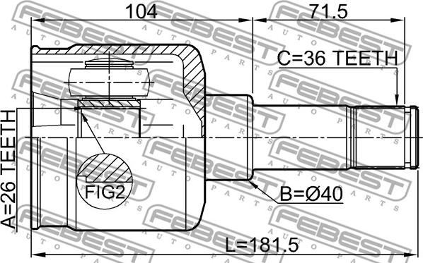 Febest 2111-FY36LH - Kit giunti, Semiasse www.autoricambit.com