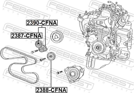 Febest 2390-CFNA - Tendicinghia, Cinghia Poly-V www.autoricambit.com