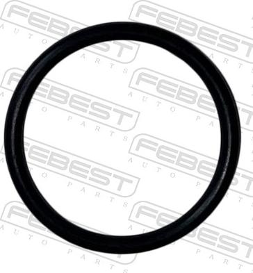 Febest 23400-031 - Guarnizione, Condotto carburante www.autoricambit.com