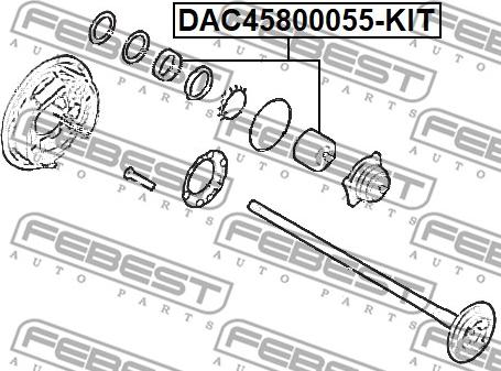 Febest DAC45800055-KIT - Kit cuscinetto ruota www.autoricambit.com