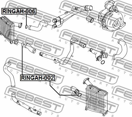 Febest RINGAH-006 - Anello tenuta, Flessibile aria alimentazione www.autoricambit.com