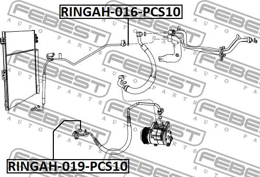 Febest RINGAH-016-PCS10 -  www.autoricambit.com