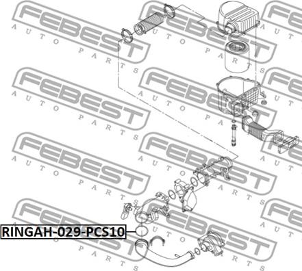 Febest RINGAH-029-PCS10 - Anello tenuta, Flessibile aria alimentazione www.autoricambit.com