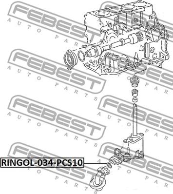 Febest RINGOL-034-PCS10 - Guarnizione, Reticella olio www.autoricambit.com