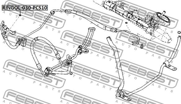 Febest RINGOL-030-PCS10 - Paraolio, Servopompa www.autoricambit.com