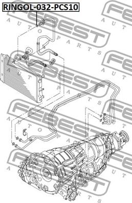 Febest RINGOL-032-PCS10 - Guarnizione, Radiatore olio www.autoricambit.com