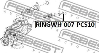 Febest RINGWH-007-PCS10 - Guarnizione, Flangia refrigerante www.autoricambit.com