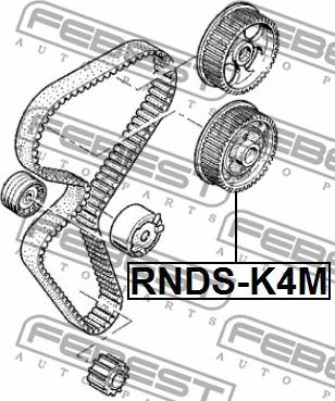 Febest RNDS-K4M - Regolatore albero a camme www.autoricambit.com